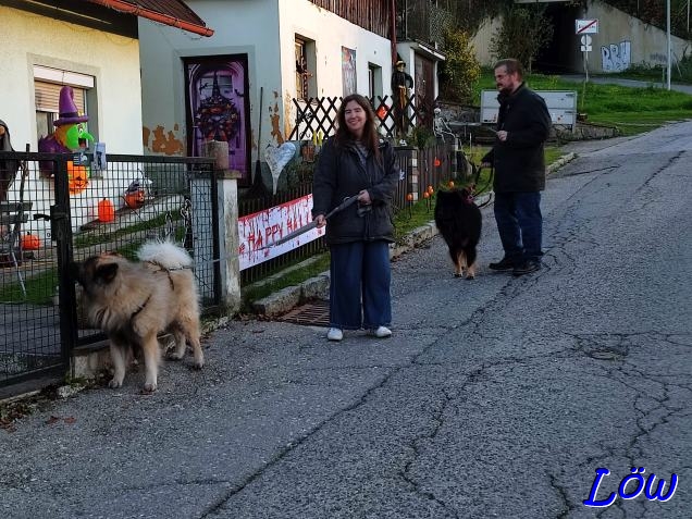 31.10.2024 -  Brucker Halloween